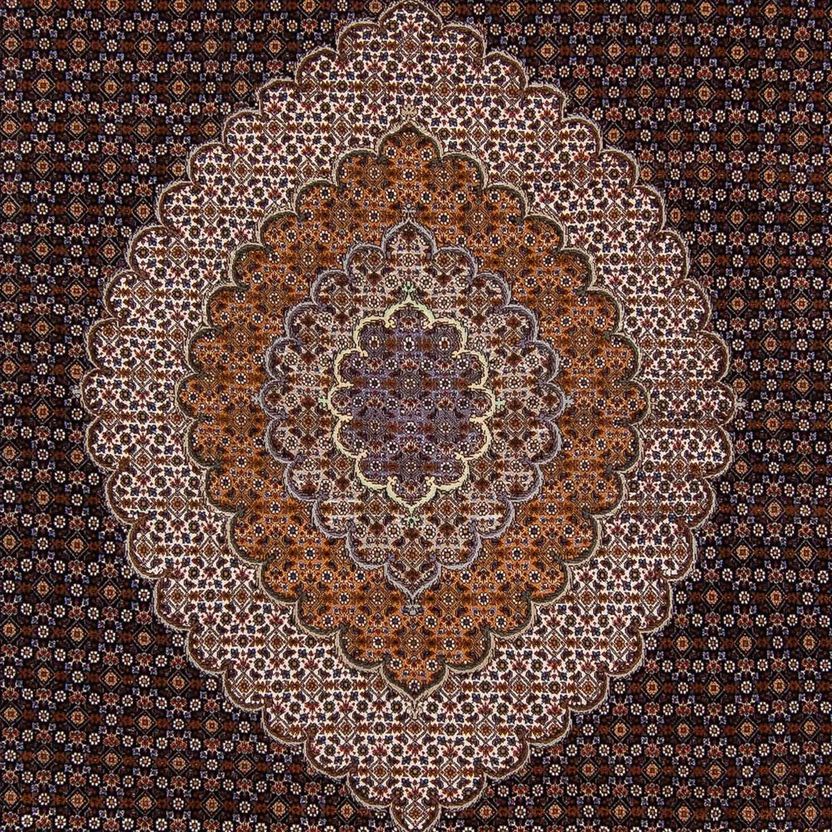 Perzisch tapijt - Tabriz - 340 x 255 cm - donkerbruin