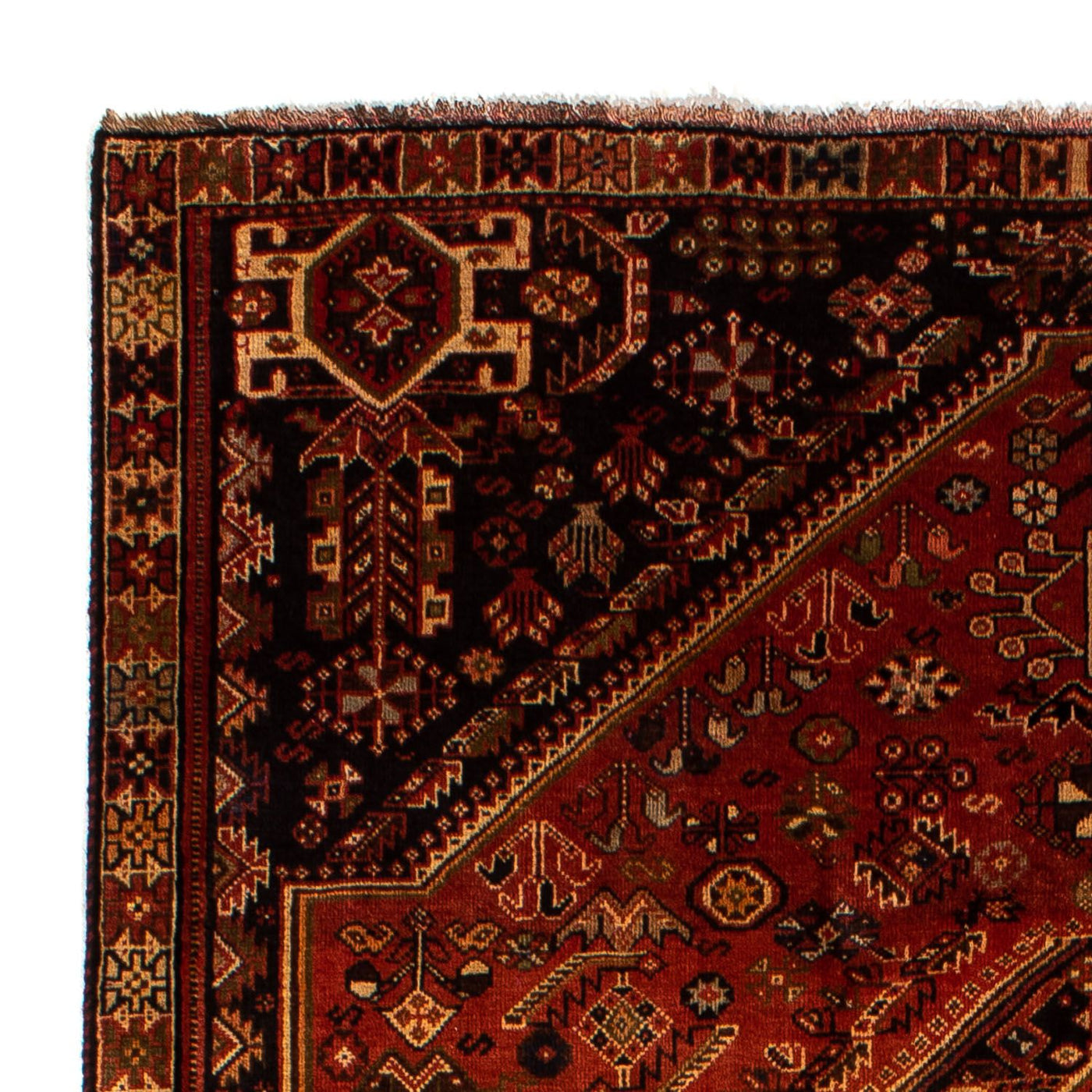 Shiraz Tapijt 290x185cm - Perzisch tapijt