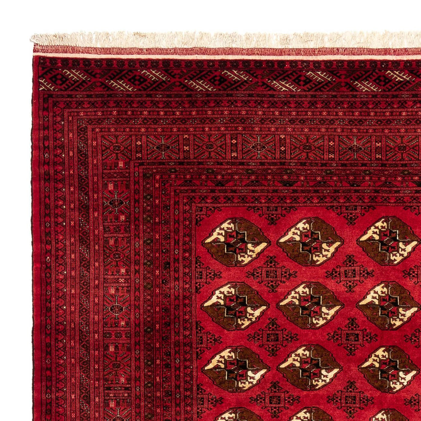 Shiraz Tapijt 290x203cm - Perzisch tapijt