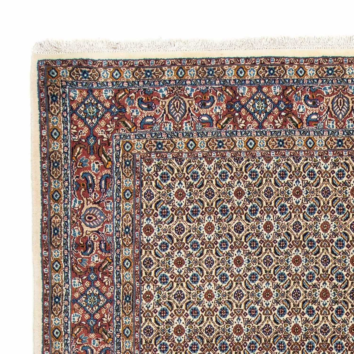 Moud Tapijt 170x235cm - Perzisch tapijt