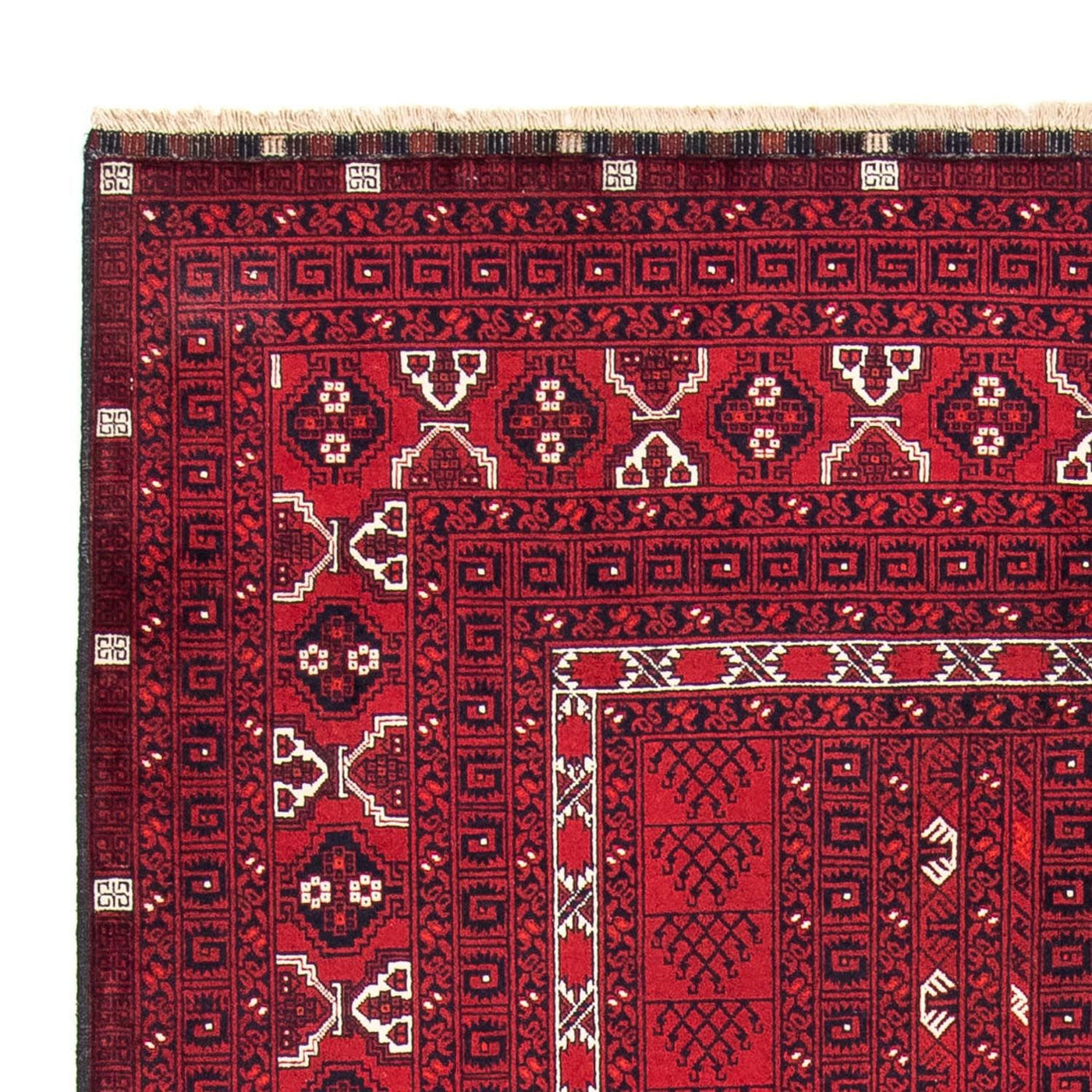 Turkaman tapijt 246x157cm - Perzisch tapijt