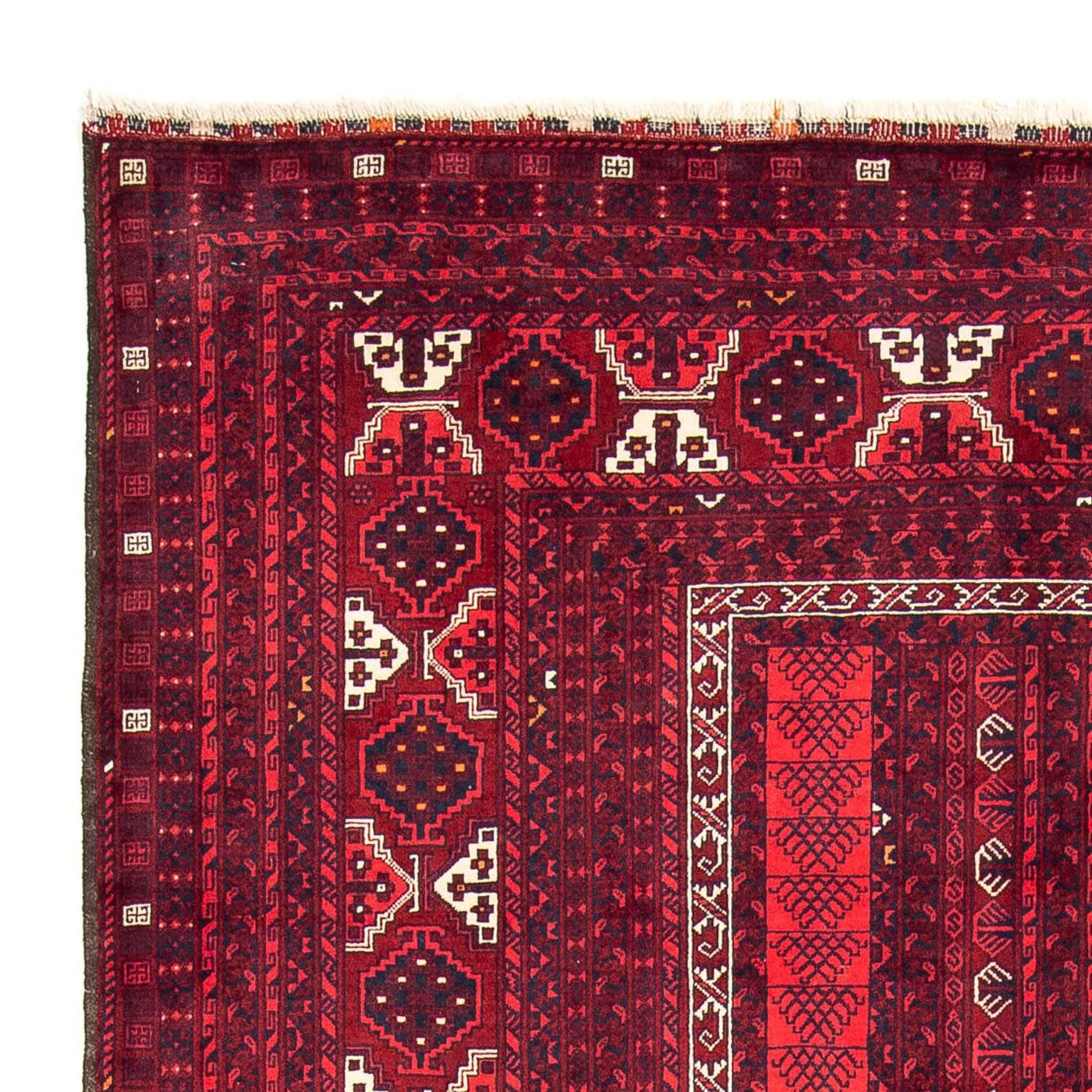 Turkaman tapijt 246x160cm - Perzisch tapijt