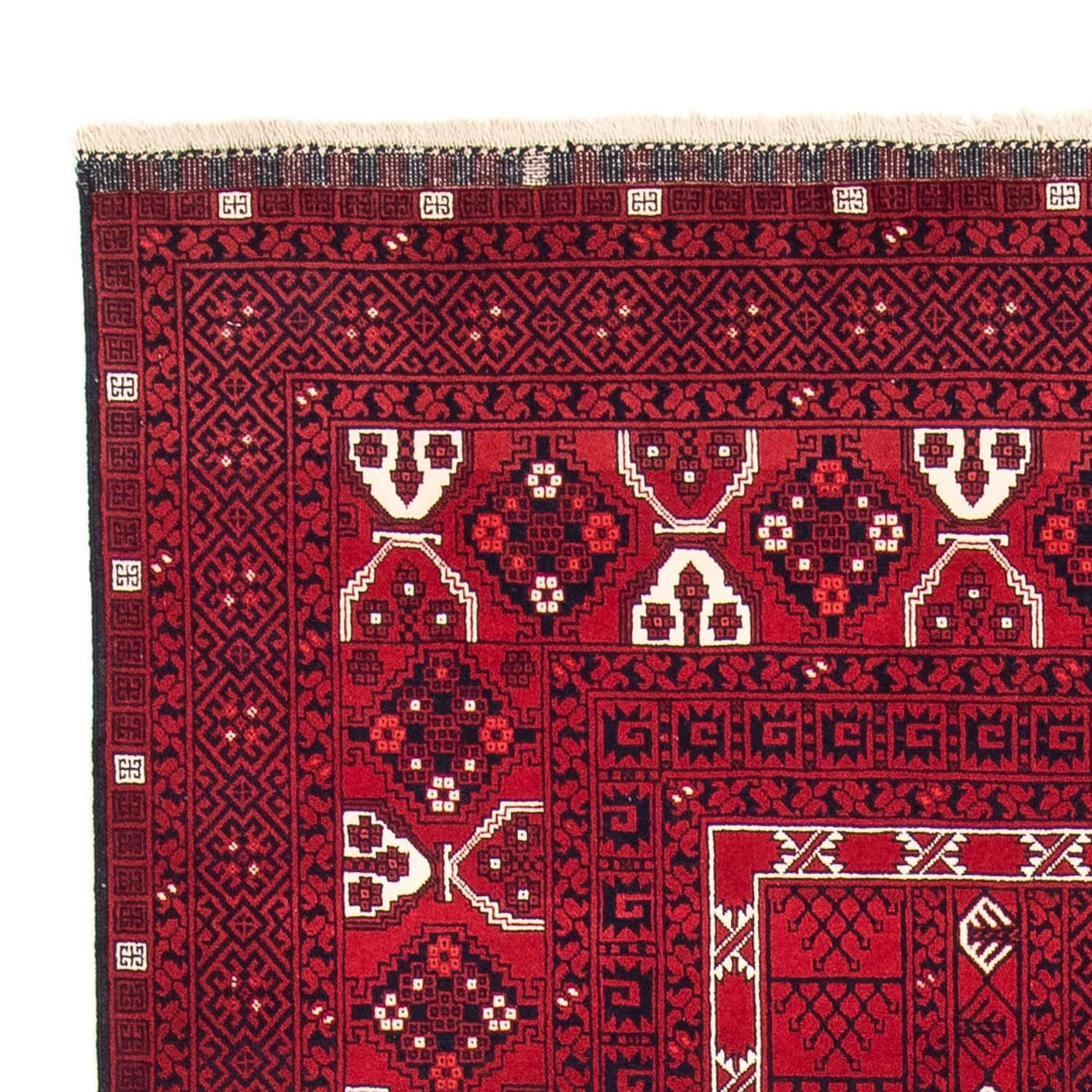 Turkaman tapijt 255x151cm - Perzisch tapijt