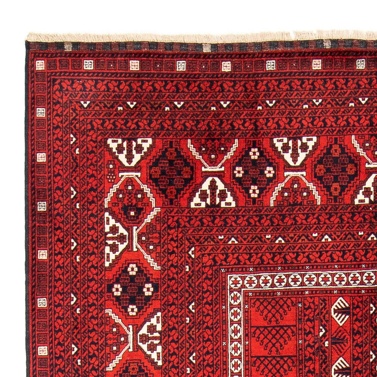 Turkaman tapijt 160x243cm - Perzisch tapijt
