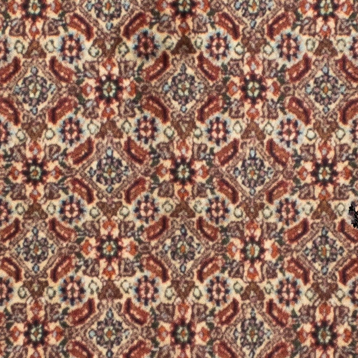 Loper Perzisch tapijt - Klassiek - 246 x 80 cm - beige