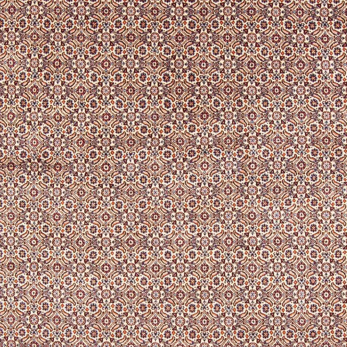 Perzisch tapijt - Klassiek - 244 x 196 cm - beige