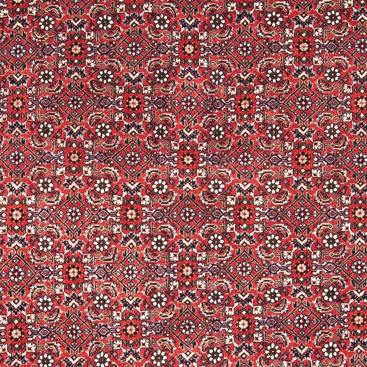 Perzisch tapijt - Bijar - 174 x 111 cm - rood