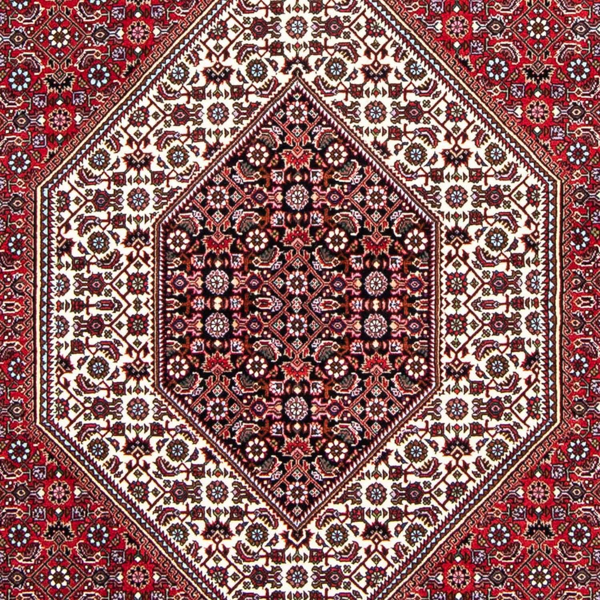 Perzisch tapijt - Bijar - 250 x 149 cm - rood