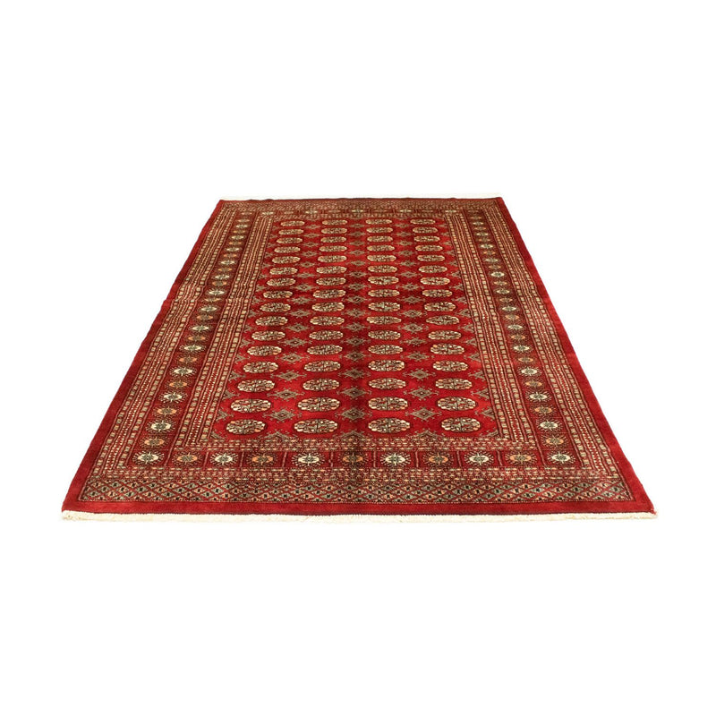 Afghaans tapijt - Bukhara - 223 x 149 cm - rood