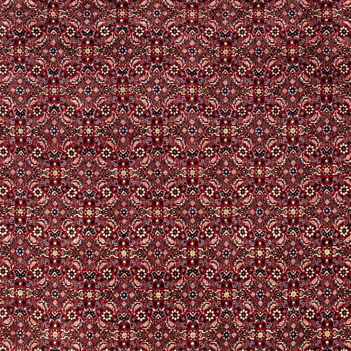 Perzisch tapijt - Bijar - Koninklijk - 349 x 250 cm - rood