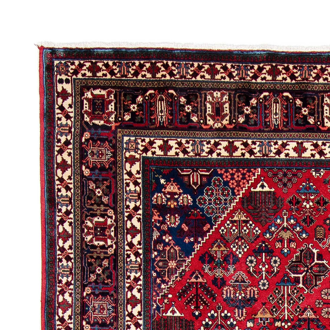 Meymeh Tapijt 343x235cm - Perzisch tapijt