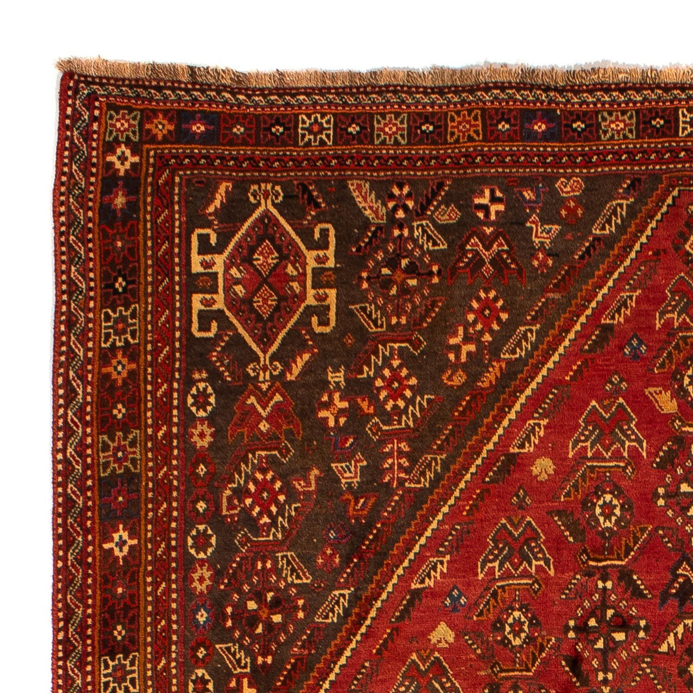 Shiraz Tapijt 277x181cm - Perzisch tapijt