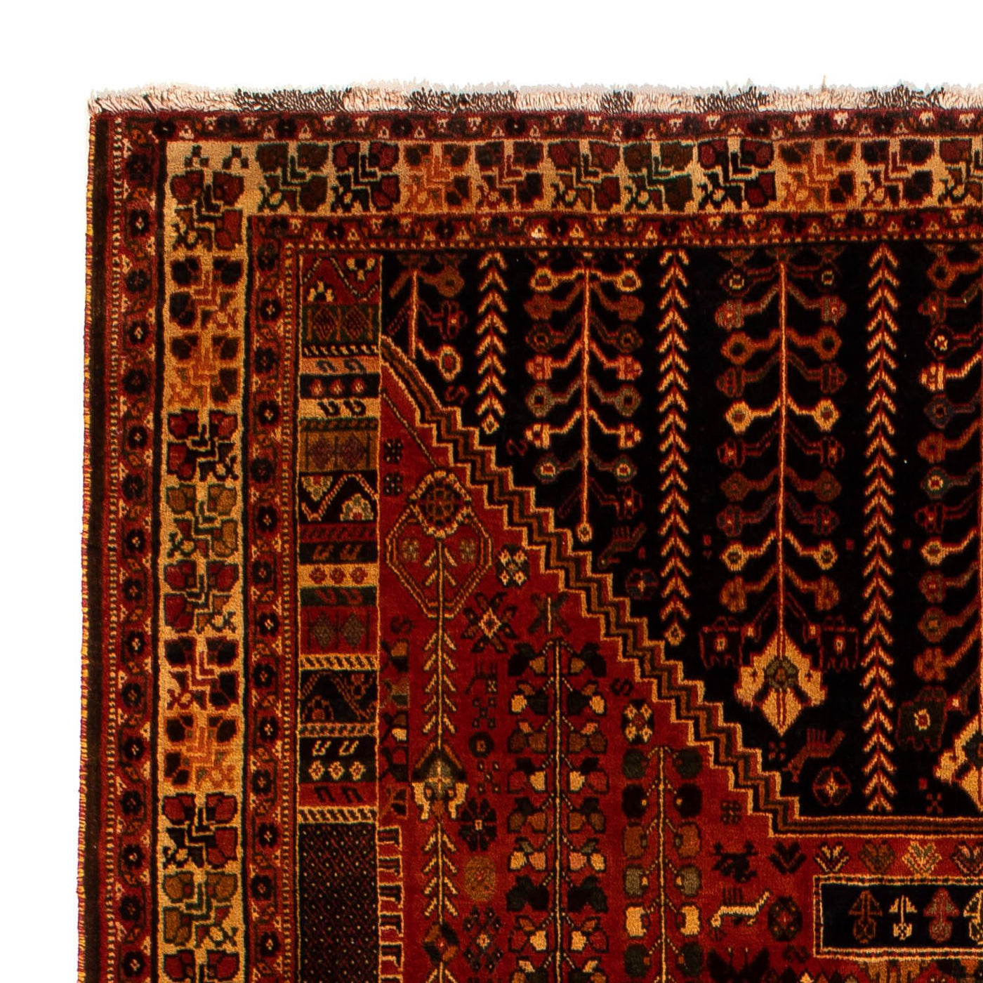 Shiraz Tapijt 304x204cm - Perzisch tapijt