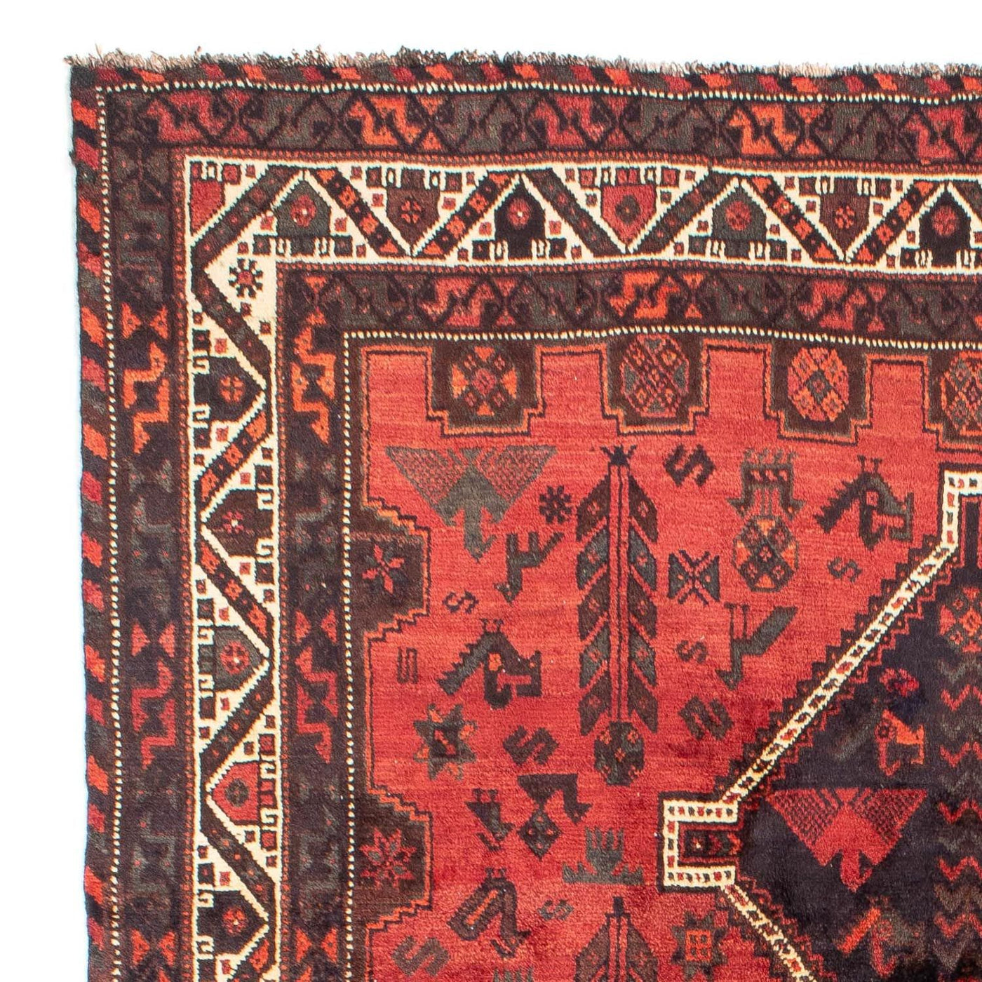 Shiraz Tapijt 318x206cm - Perzisch tapijt