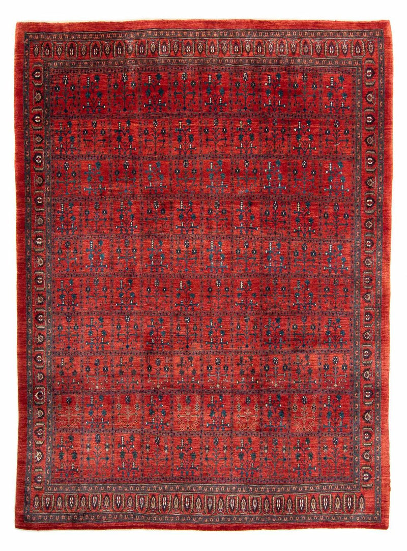 Gabbeh Tapijt - Kashkuli Perzisch - 345 x 260 cm - donkerrood