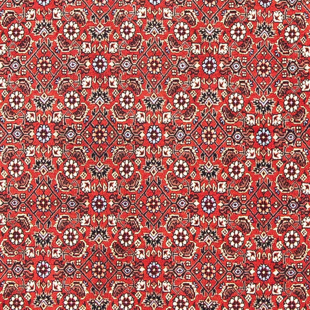 Perzisch tapijt - Bijar vierkant  - 98 x 97 cm - rood