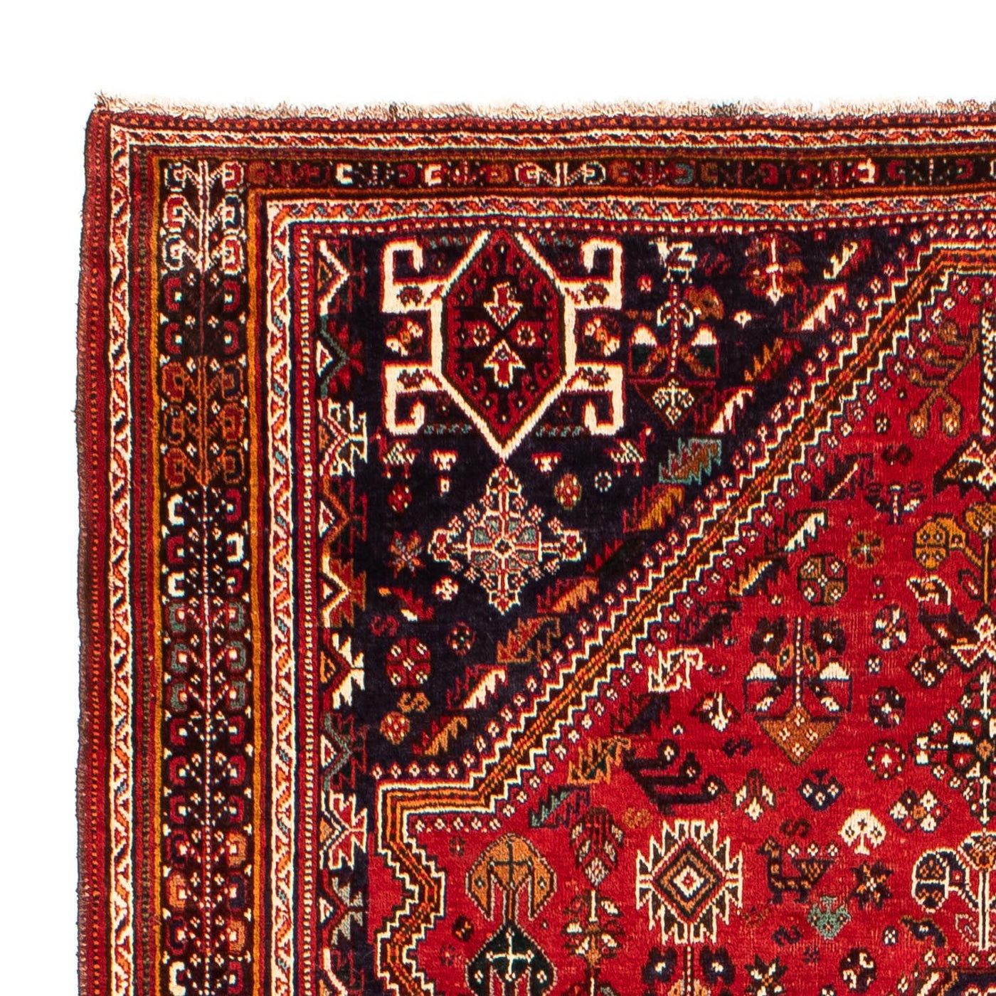 Shiraz Tapijt 298x189cm - Perzisch tapijt
