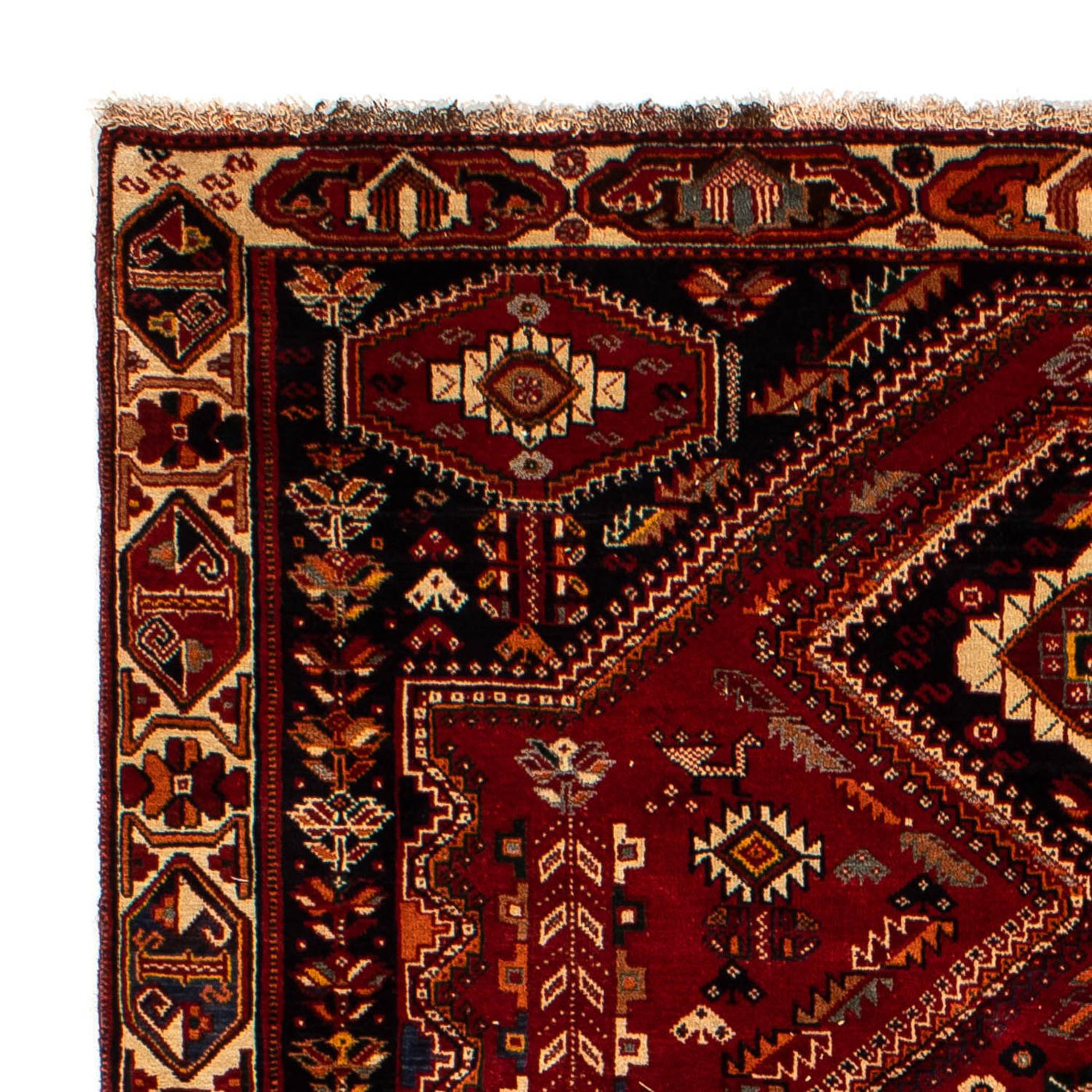Shiraz Tapijt 290x182cm - Perzisch tapijt