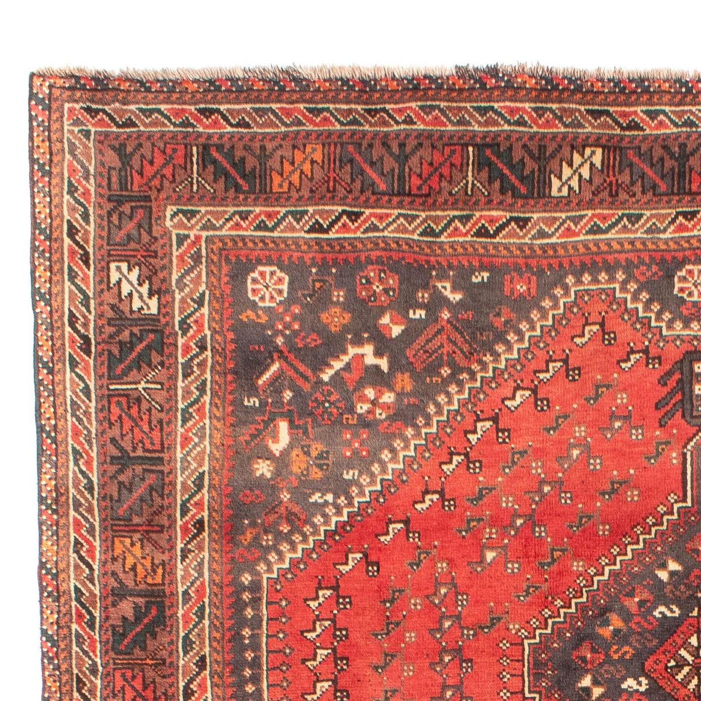 Shiraz Tapijt 279x203cm - Perzisch tapijt