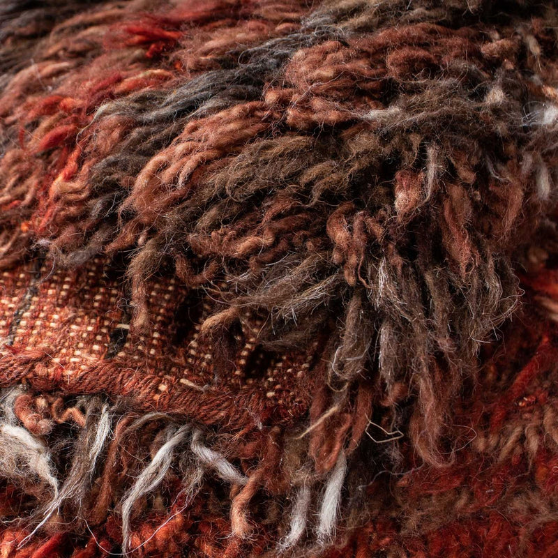 Hoogpolig tapijt - 300 x 206 cm - veelkleurig