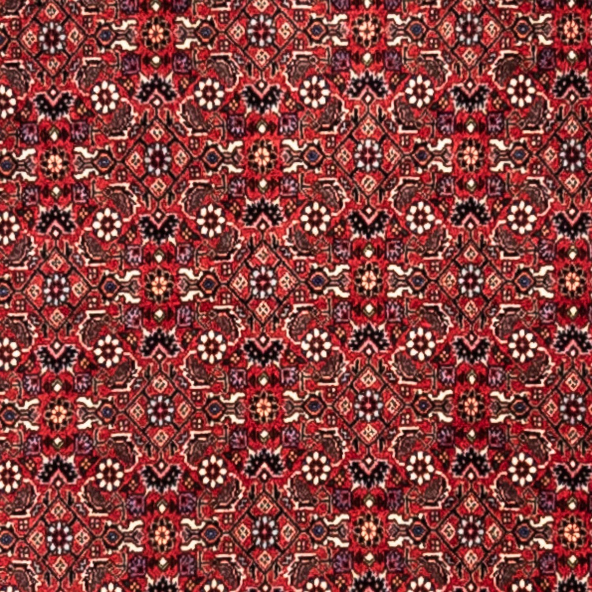 Perzisch tapijt - Bijar - Koninklijk - 345 x 253 cm - rood