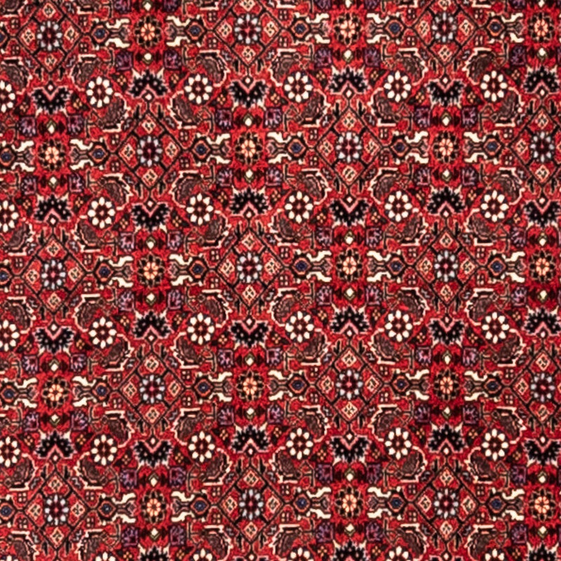 Perzisch tapijt - Bijar - Koninklijk - 345 x 253 cm - rood