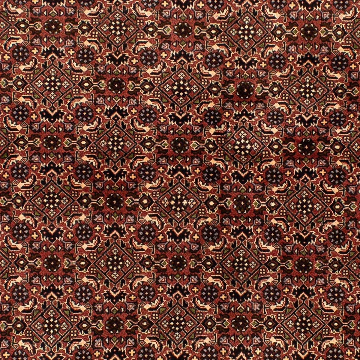 Perzisch tapijt - Bijar - 214 x 136 cm - bruin