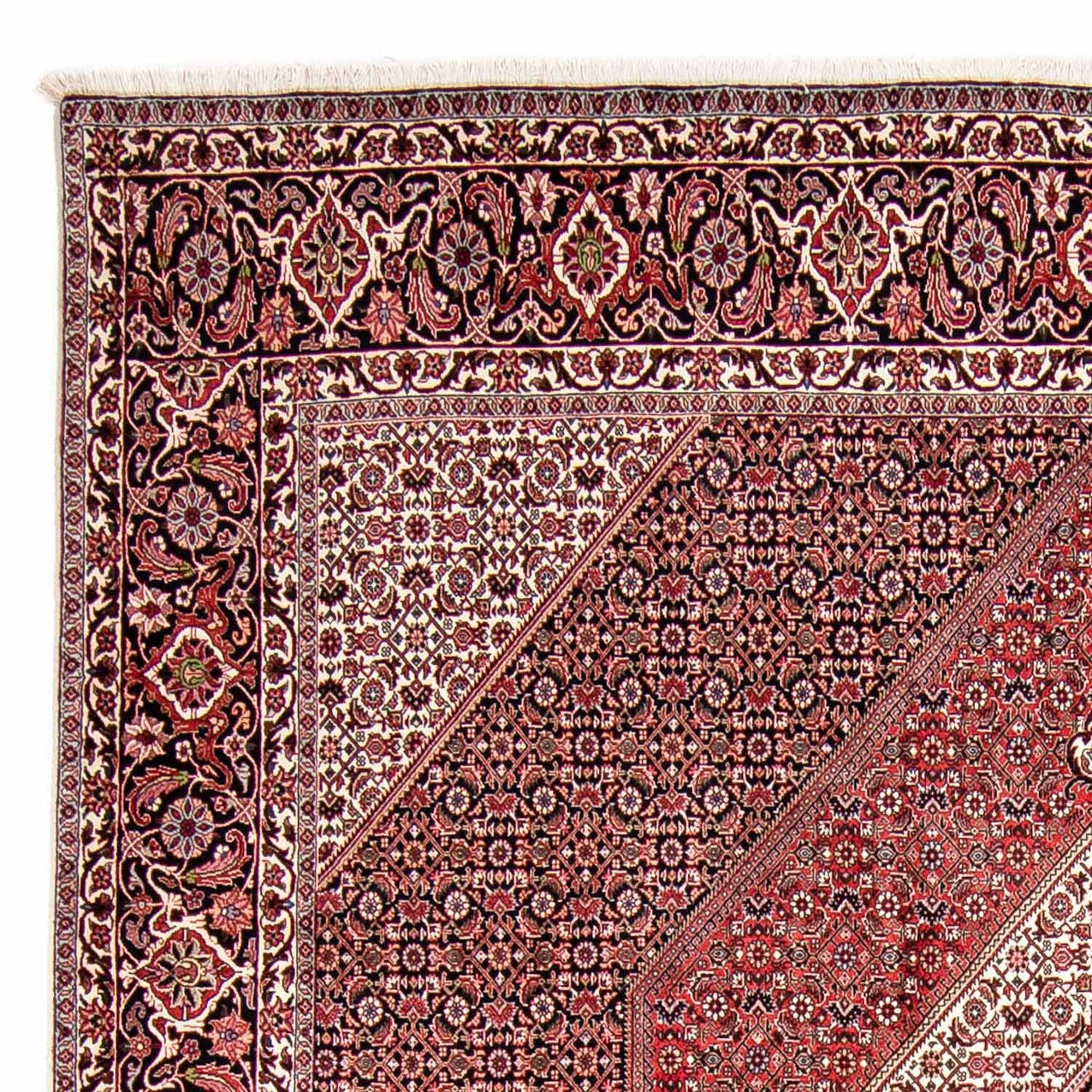 Bidjar Tapijt 300x252cm - Perzisch tapijt