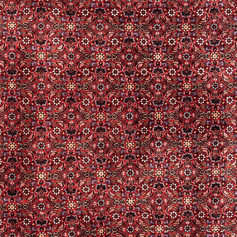 Perzisch tapijt - Bijar - Koninklijk - 338 x 250 cm - rood