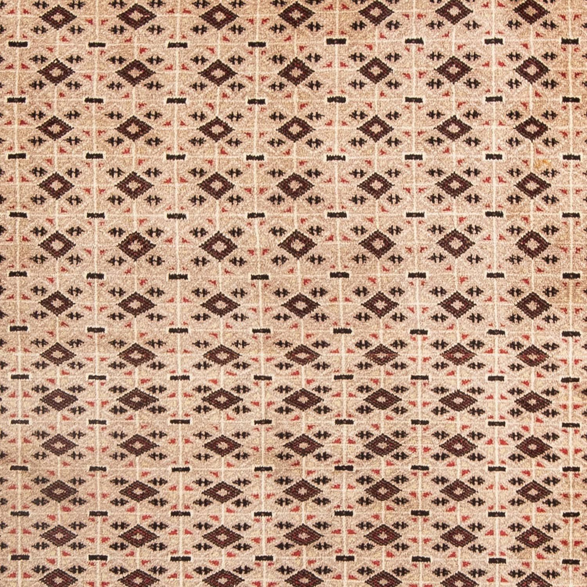 Baluch tapijt - 181 x 134 cm - beige