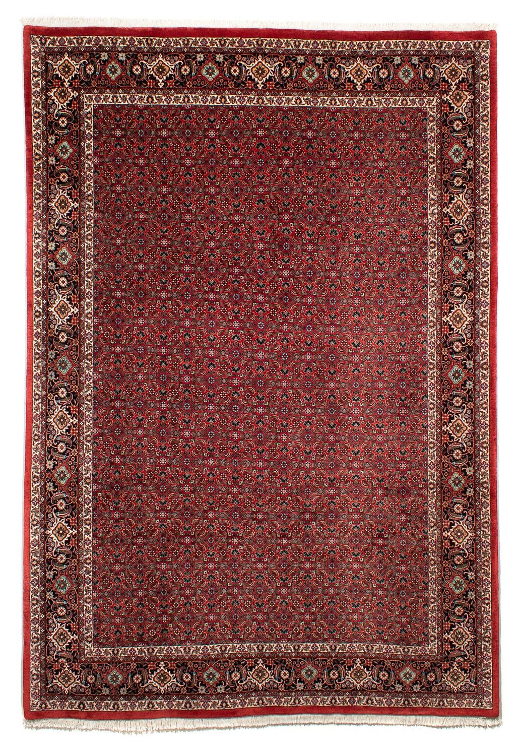 Perzisch tapijt - Bijar - 295 x 203 cm - donkerrood