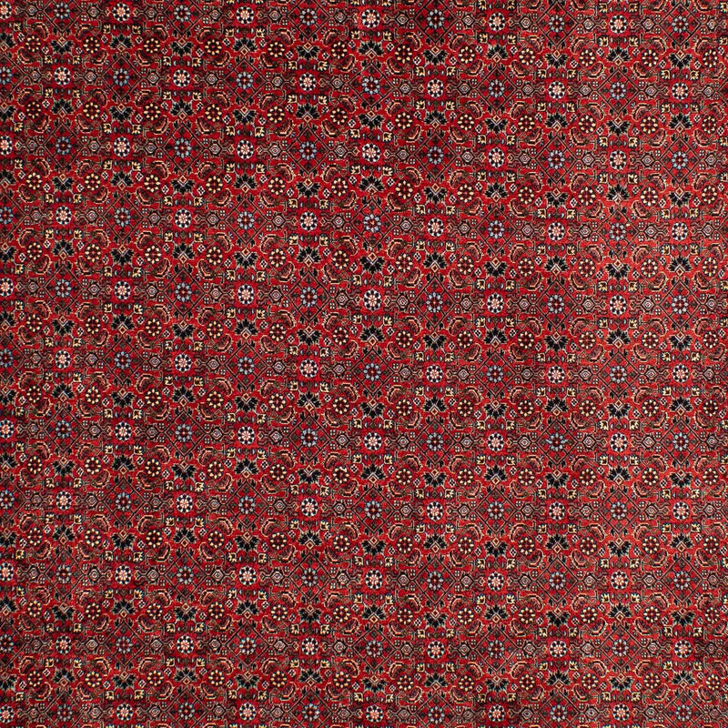 Perzisch tapijt - Bijar - 295 x 203 cm - donkerrood