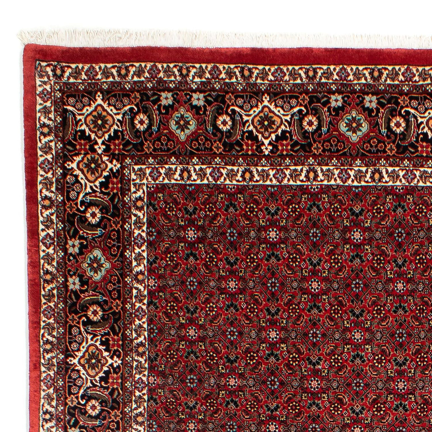 Bidjar Tapijt 295x203cm - Perzisch tapijt