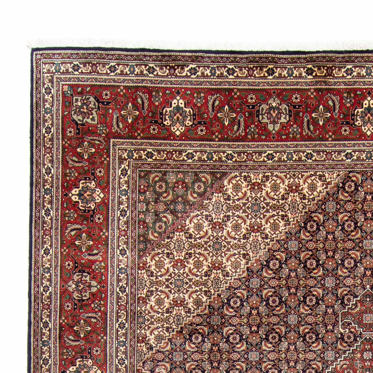 Tabriz Tapijt 246x343cm - Perzisch tapijt
