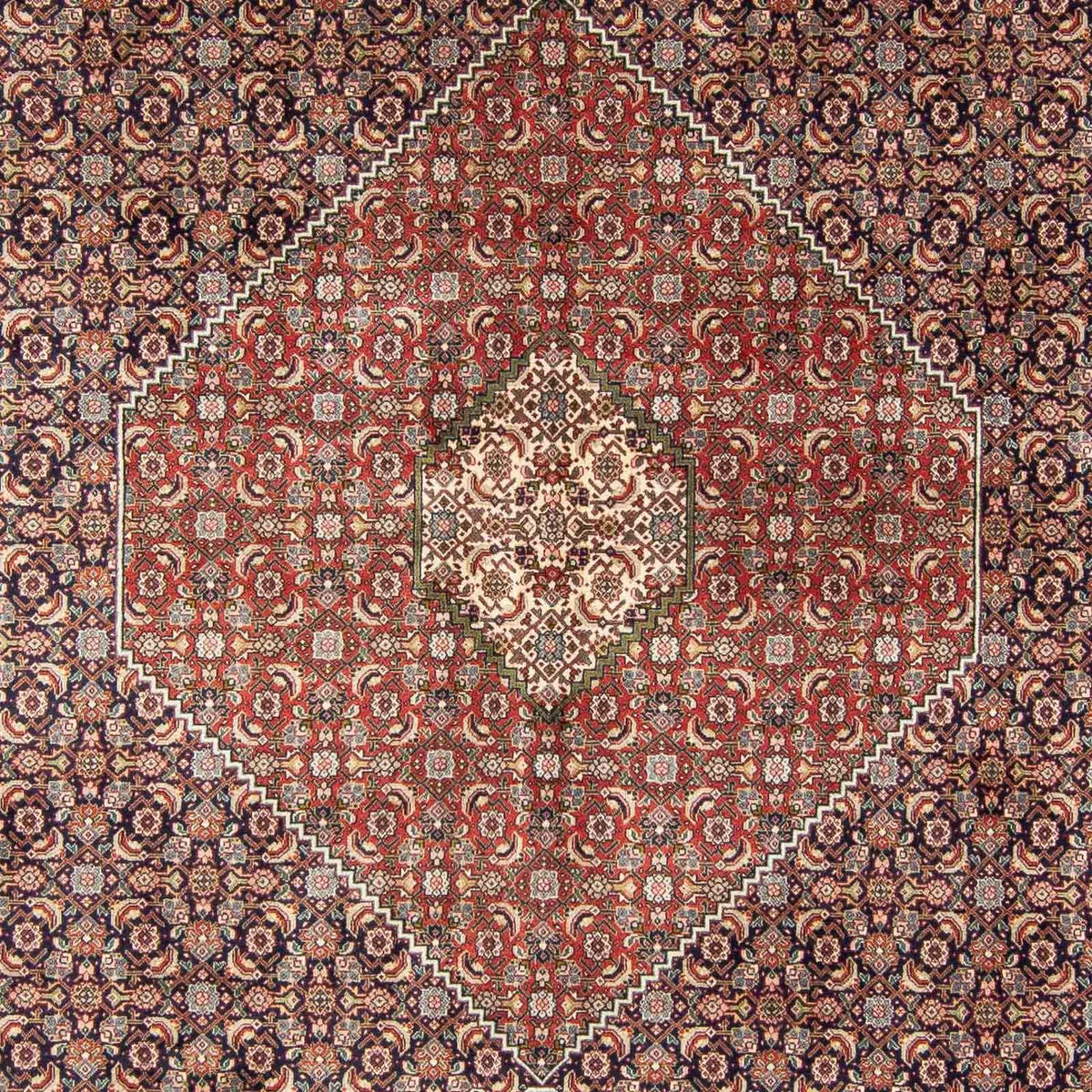 Perzisch tapijt - Tabriz - 343 x 247 cm - veelkleurig
