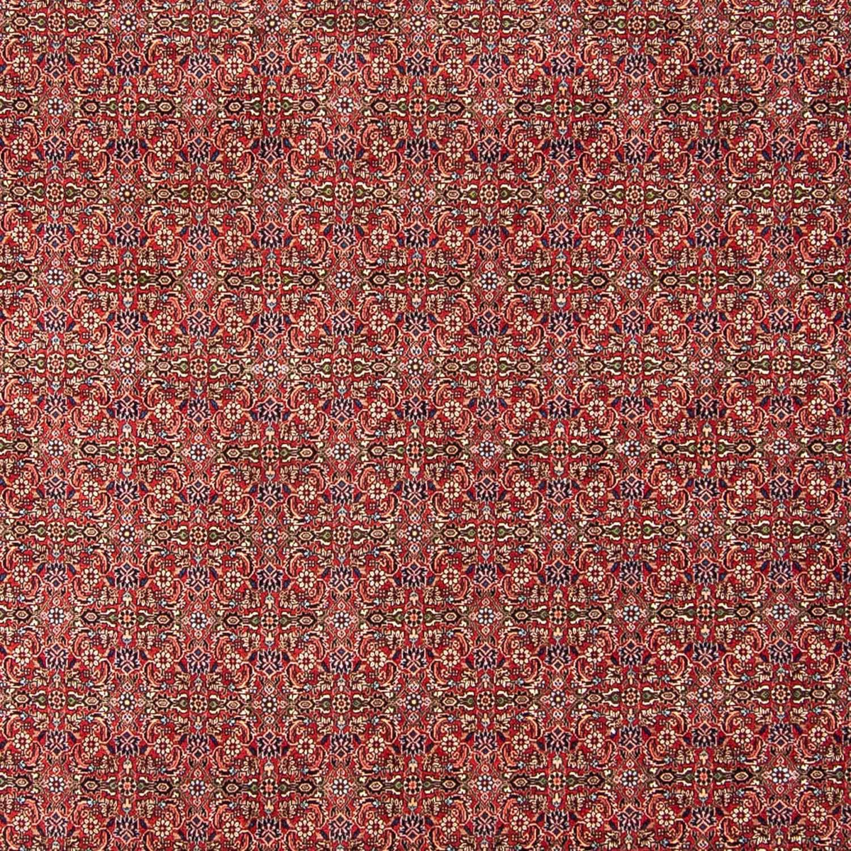 Perzisch tapijt - Bijar - 300 x 252 cm - donkerrood