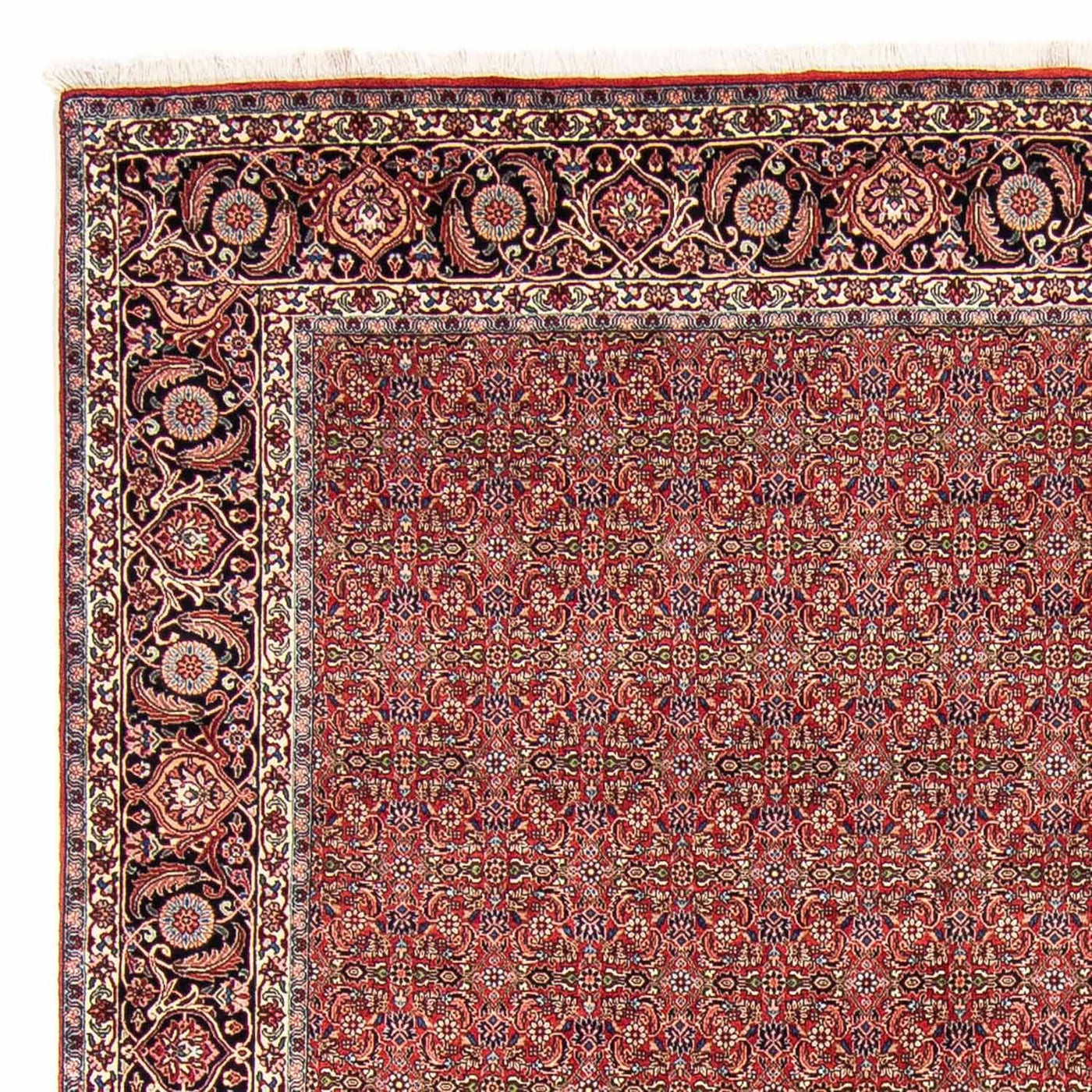 Bidjar Tapijt 300x252cm - Perzisch tapijt