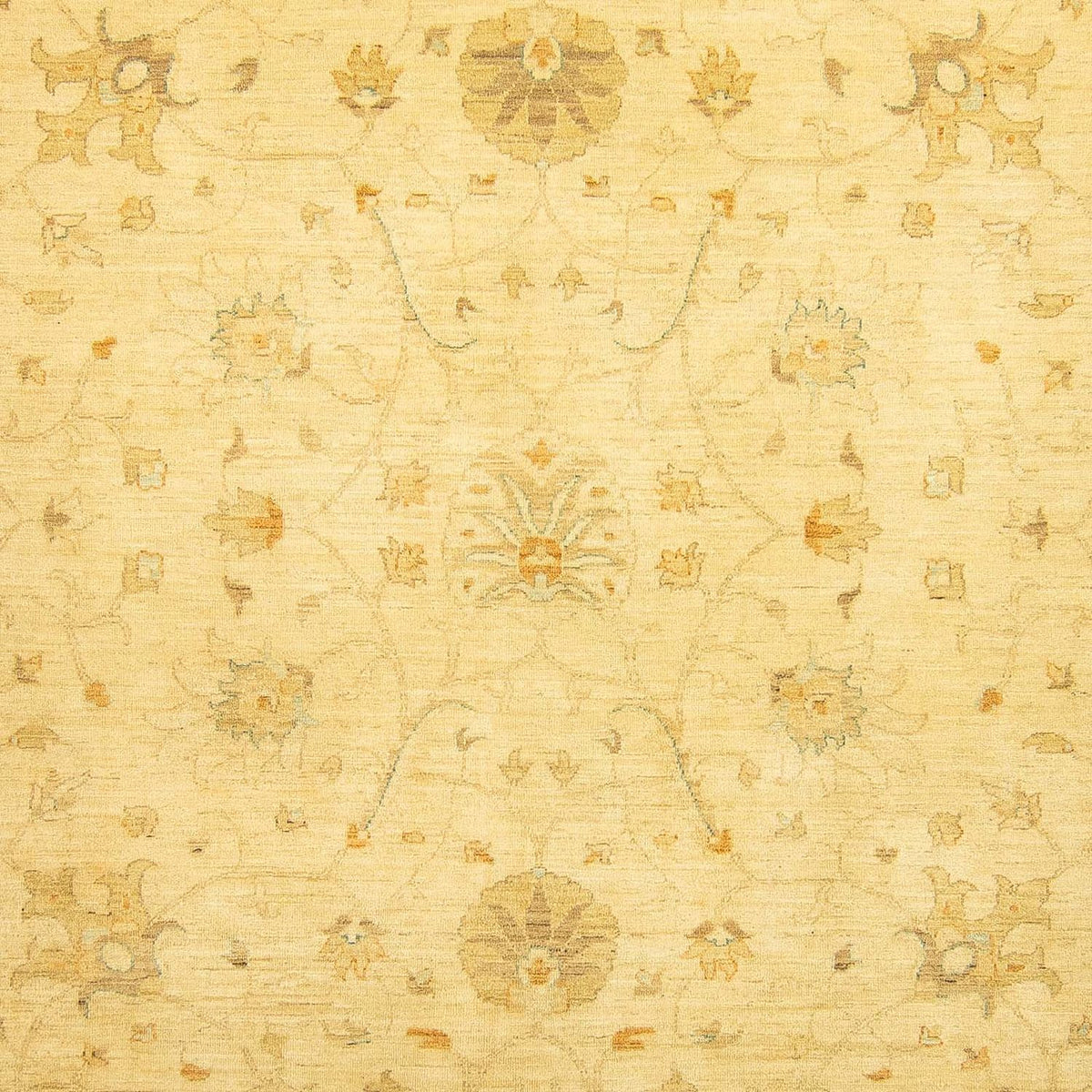 Ziegler tapijt - 349 x 274 cm - beige