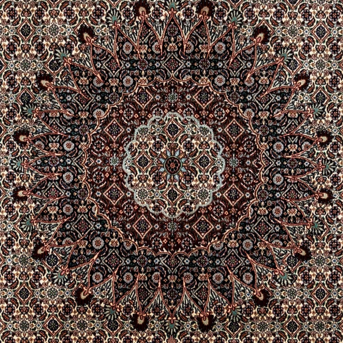 Perzisch tapijt - Klassiek - 360 x 251 cm - beige