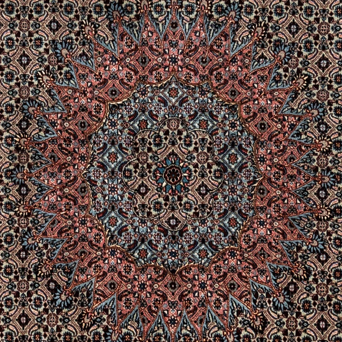 Perzisch tapijt - Klassiek - 347 x 252 cm - licht choco