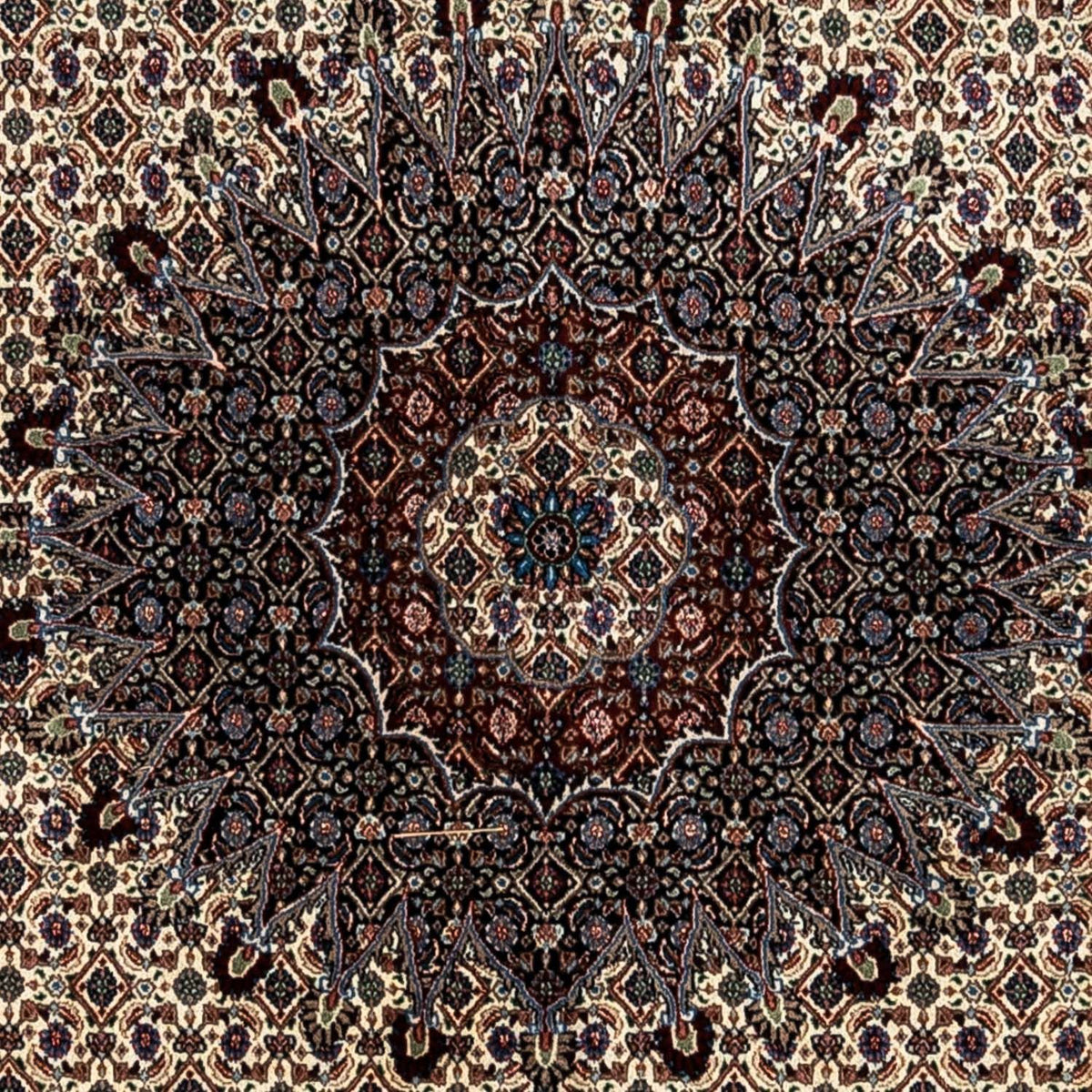 Perzisch tapijt - Klassiek - 344 x 248 cm - beige