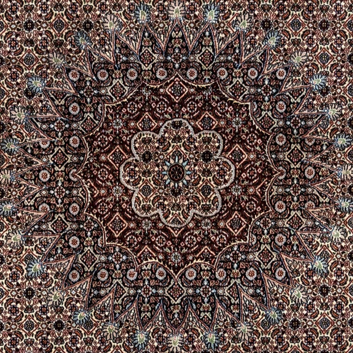 Perzisch tapijt - Klassiek - 344 x 246 cm - beige