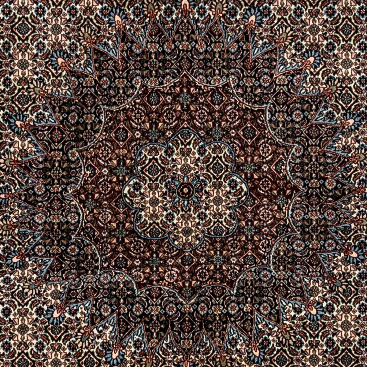 Perzisch tapijt - Klassiek - 353 x 250 cm - beige