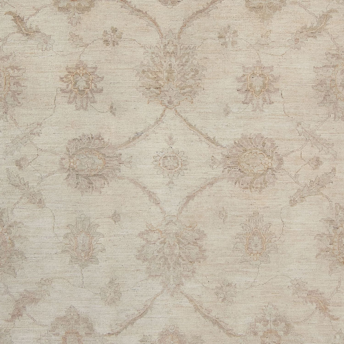 Ziegler tapijt - 340 x 250 cm - beige