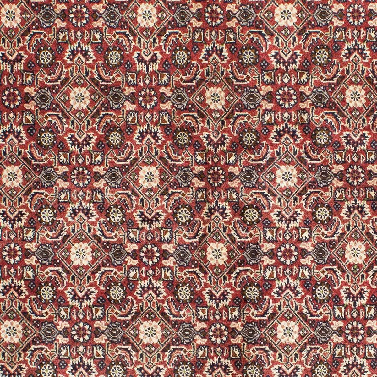 Perzisch tapijt - Bijar - 208 x 137 cm - rood