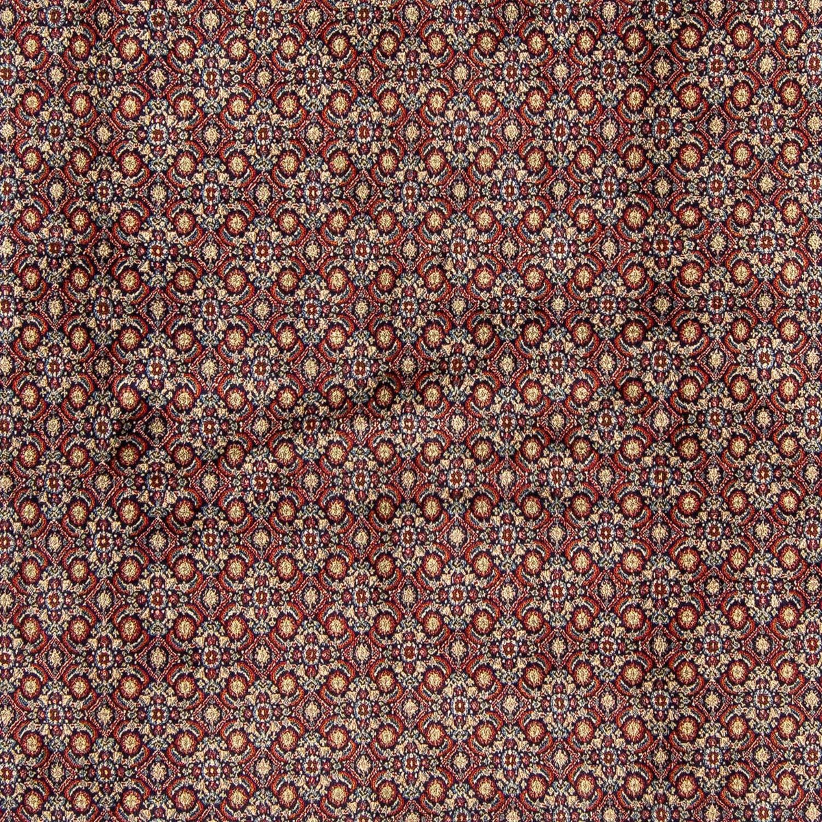 Perzisch tapijt - Klassiek vierkant  - 252 x 252 cm - veelkleurig