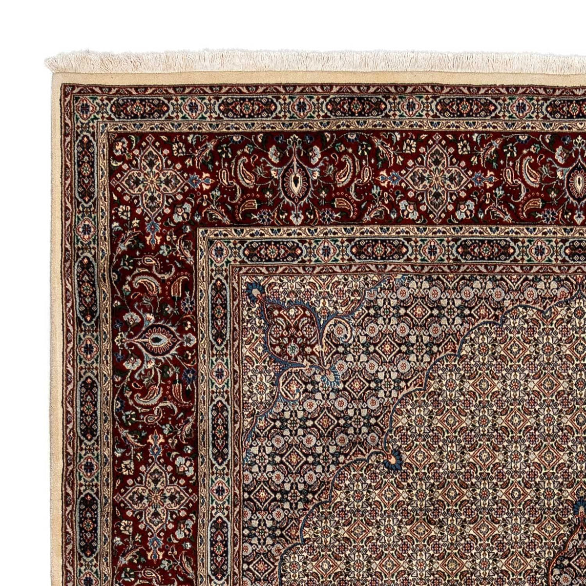 Moud Tapijt 246x352cm - Perzisch tapijt