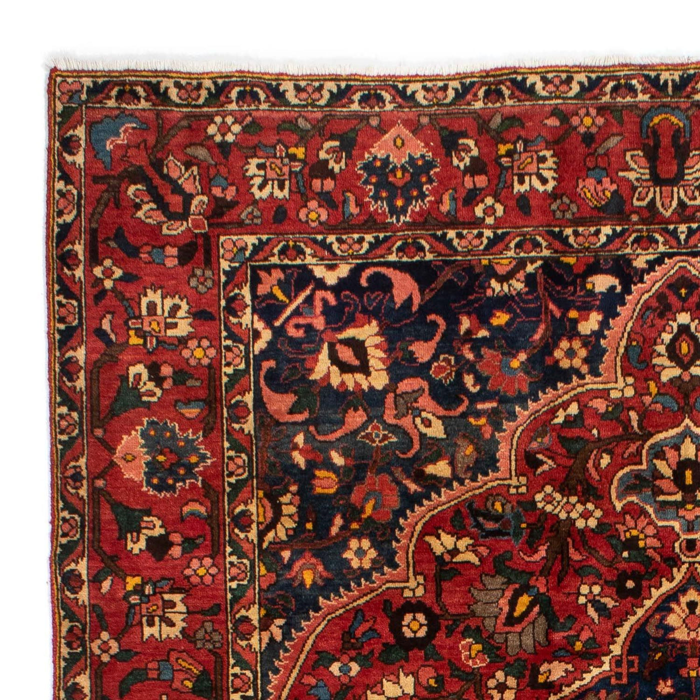 Bakhtiari Tapijt 310x209cm - Perzisch tapijt