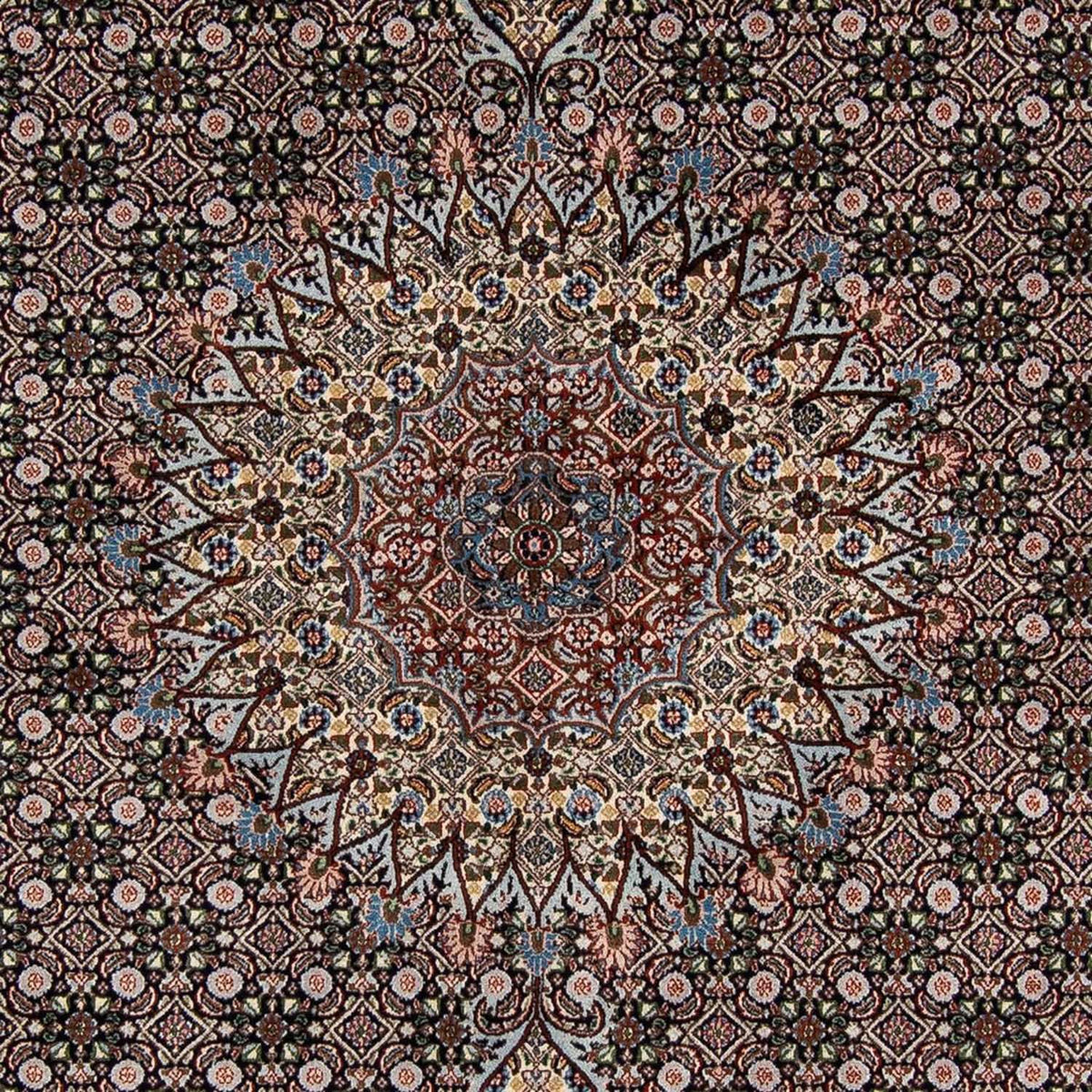 Perzisch tapijt - Klassiek - 291 x 206 cm - donkerblauw