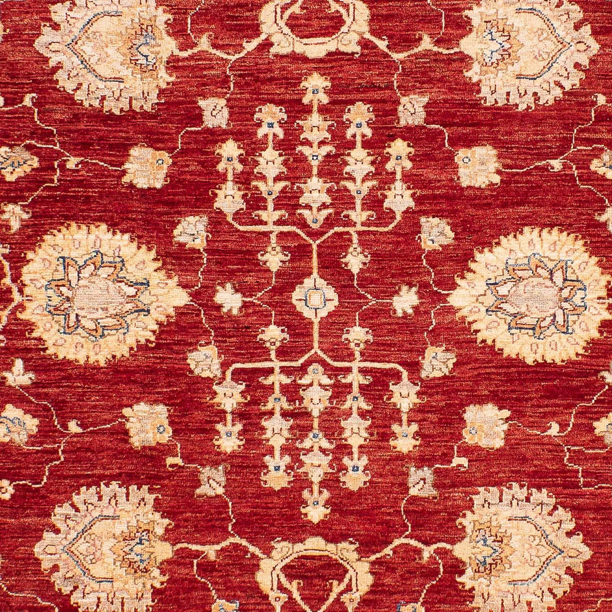 Ziegler tapijt - 218 x 169 cm - donkerblauw